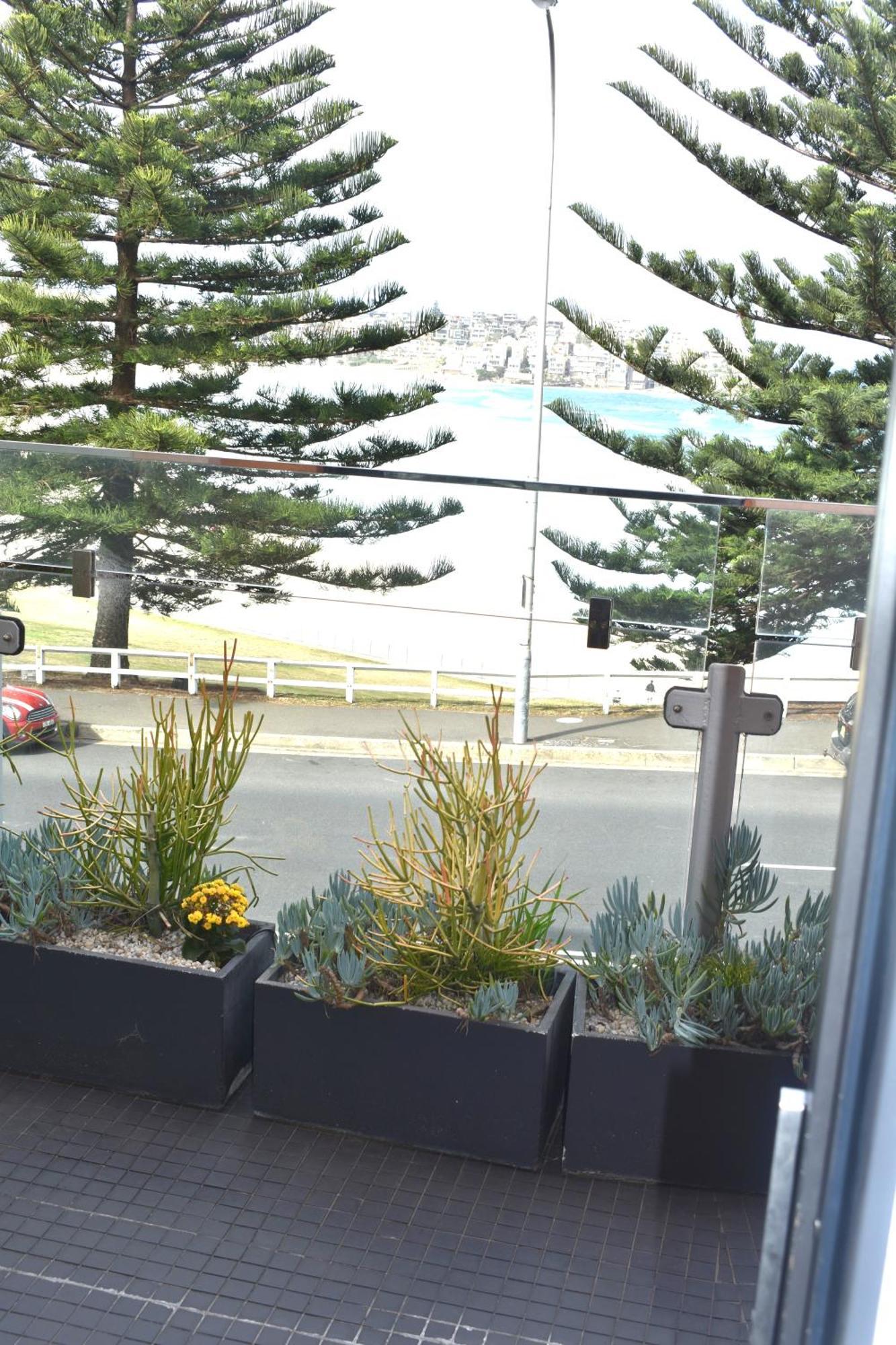 Bondi 38 Serviced Apartments Сидней Экстерьер фото